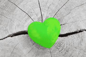 grünes Herz statt grauem Stein